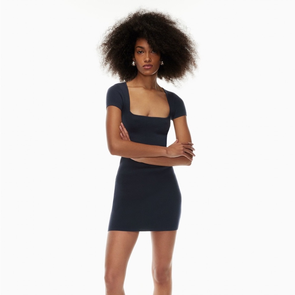 Aritzia Babaton “Emerge” Dress